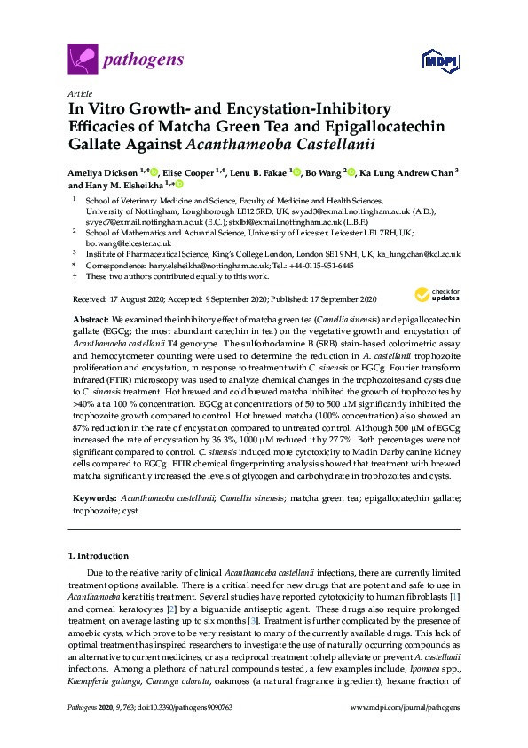 In Vitro Growth- and Encystation-Inhibitory Efficacies of Matcha Green Tea and Epigallocatechin Gallate Against Acanthameoba Castellanii Thumbnail