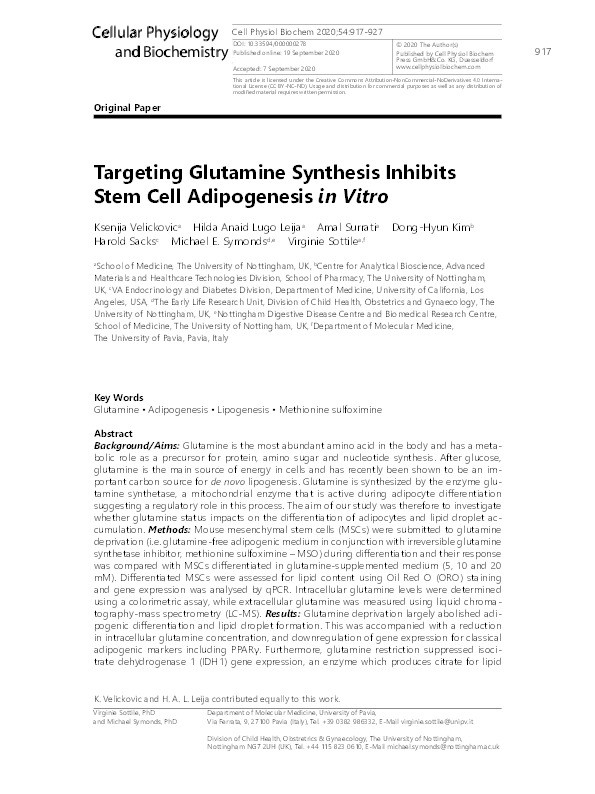 Targeting glutamine synthesis inhibits stem cell adipogenesis in vitro Thumbnail
