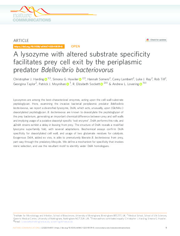 A lysozyme with altered substrate specificity facilitates prey cell exit by the periplasmic predator Bdellovibrio bacteriovorus Thumbnail
