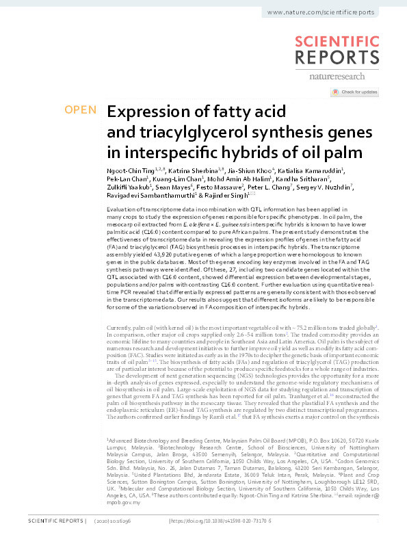 Expression of fatty acid and triacylglycerol synthesis genes in interspecific hybrids of oil palm Thumbnail