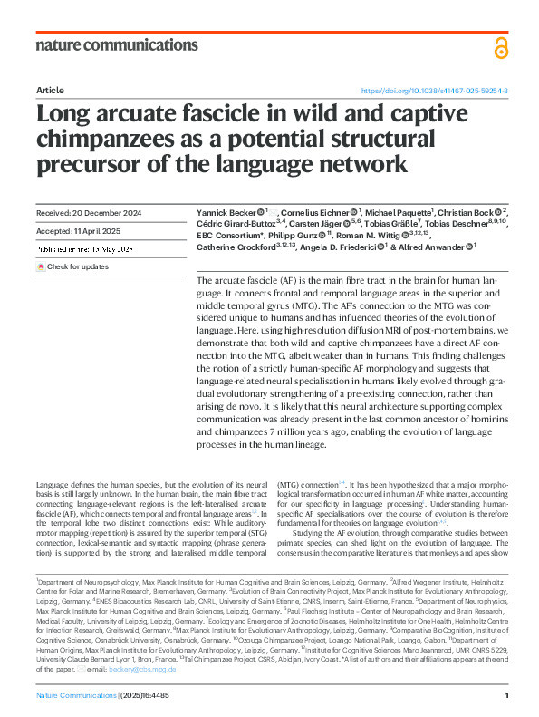 Long arcuate fascicle in wild and captive chimpanzees as a potential structural precursor of the language network Thumbnail