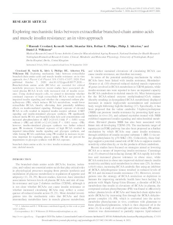 Exploring mechanistic links between extracellular branched-chain amino acids and muscle insulin resistance: an in vitro approach Thumbnail