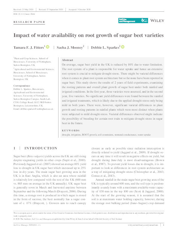 Impact of water availability on root growth of sugar beet varieties Thumbnail
