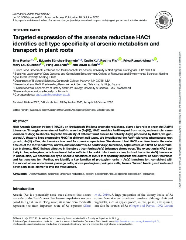 Targeted expression of the arsenate reductase HAC1 identifies cell type specificity of arsenic metabolism and transport in plant roots Thumbnail