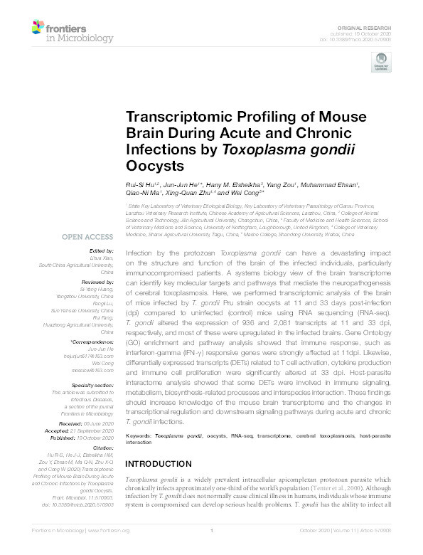 Transcriptomic Profiling of Mouse Brain During Acute and Chronic Infections by Toxoplasma gondii Oocysts Thumbnail