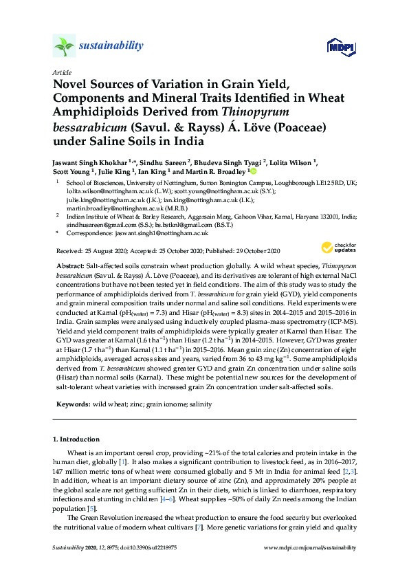 Novel sources of variation in grain yield, components and mineral traits identified in wheat amphidiploids derived from thinopyrum bessarabicum (Savul. & rayss) Á. löve (poaceae) under saline soils in India Thumbnail