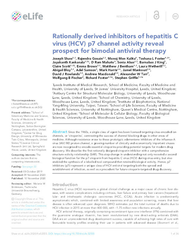 Rationally derived inhibitors of hepatitis C virus (HCV) p7 channel activity reveal prospect for bimodal antiviral therapy Thumbnail