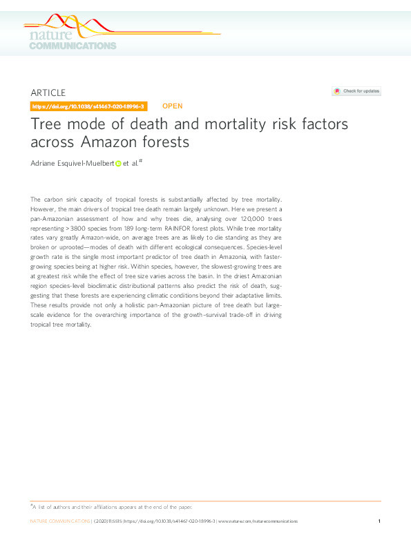 Tree mode of death and mortality risk factors across Amazon forests Thumbnail