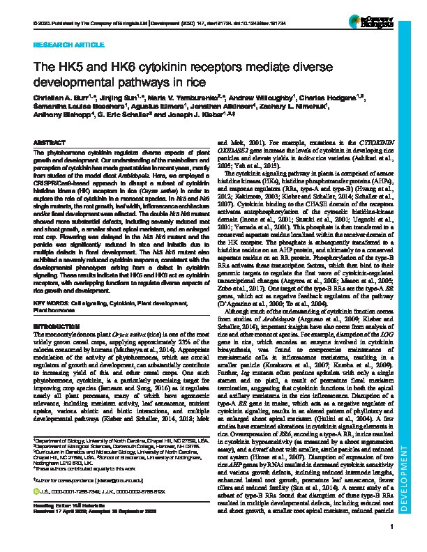 The HK5 and HK6 cytokinin receptors mediate diverse developmental pathways in rice Thumbnail