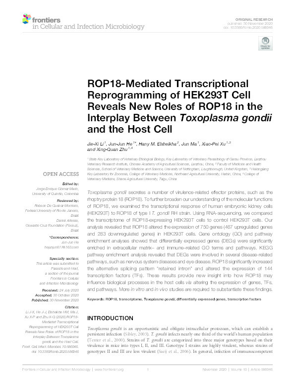 ROP18-Mediated Transcriptional Reprogramming of HEK293T Cell Reveals New Roles of ROP18 in the Interplay Between Toxoplasma gondii and the Host Cell Thumbnail