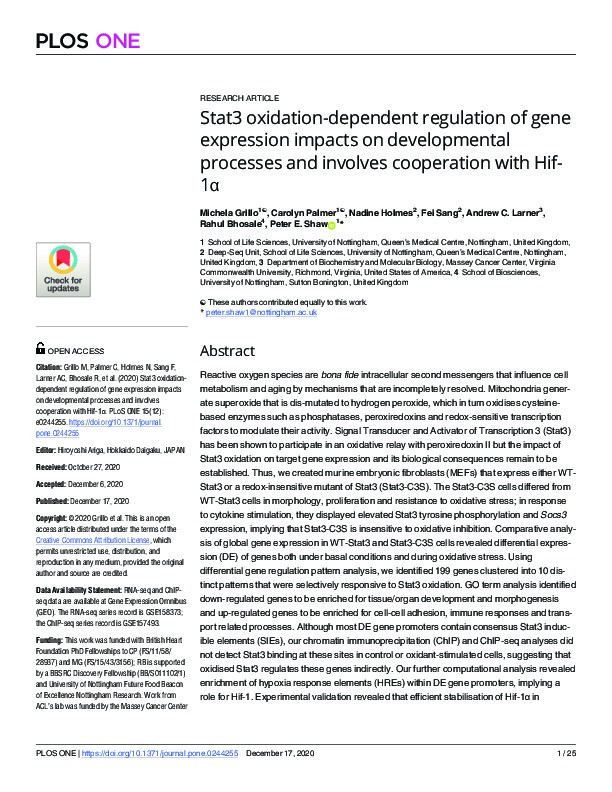 Stat3 oxidation-dependent regulation of gene expression impacts on developmental processes and involves cooperation with Hif-1? Thumbnail