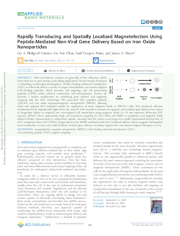 Rapidly Transducing and Spatially Localized Magnetofection Using Peptide-Mediated Non-Viral Gene Delivery Based on Iron Oxide Nanoparticles Thumbnail