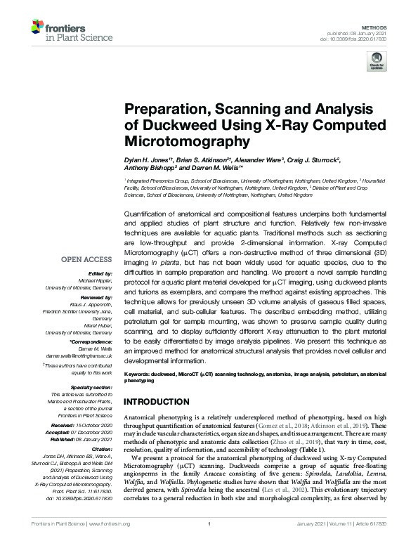 Preparation, Scanning and Analysis of Duckweed Using X-Ray Computed Microtomography Thumbnail