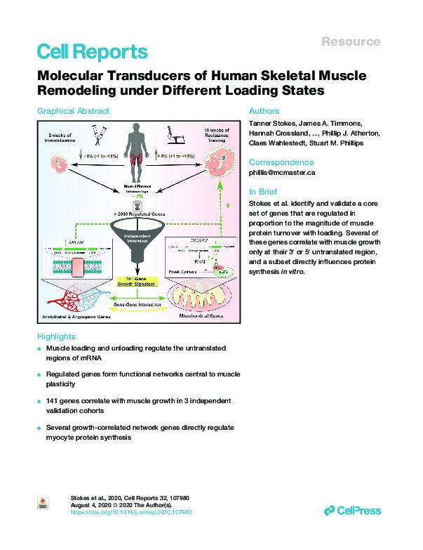 Molecular Transducers of Human Skeletal Muscle Remodeling under Different Loading States Thumbnail