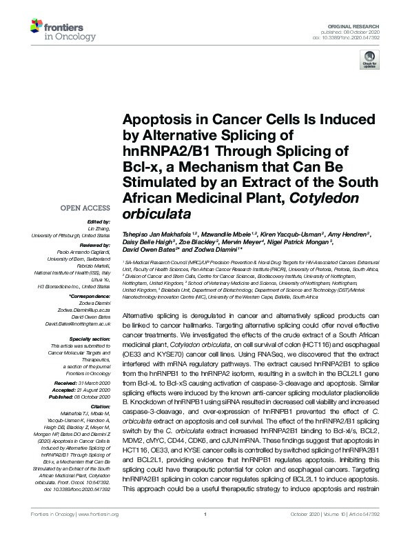Apoptosis in Cancer Cells Is Induced by Alternative Splicing of hnRNPA2/B1 Through Splicing of Bcl-x, a Mechanism that Can Be Stimulated by an Extract of the South African Medicinal Plant, Cotyledon orbiculata Thumbnail