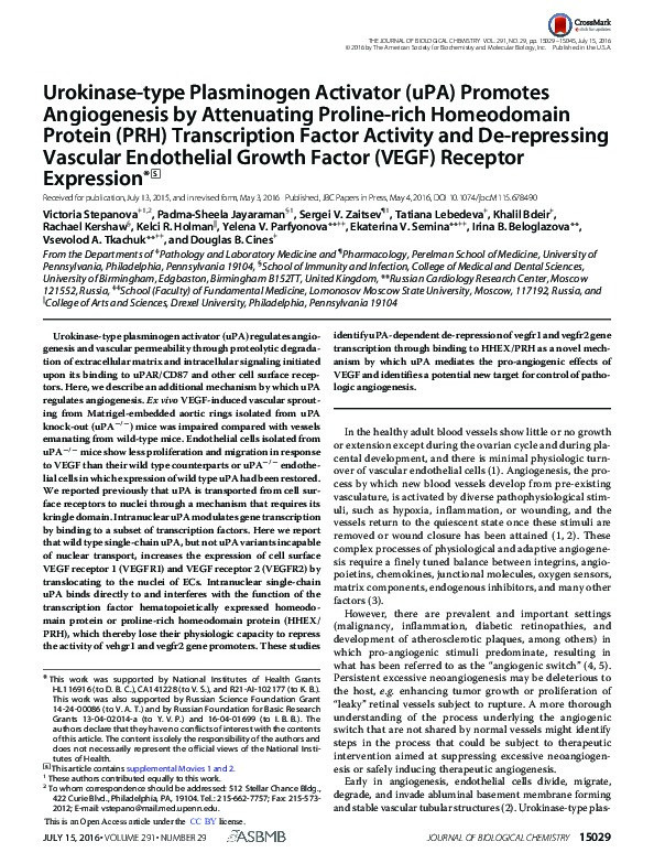 Urokinase-type Plasminogen Activator (uPA) Promotes Angiogenesis by Attenuating Proline-rich Homeodomain Protein (PRH) Transcription Factor Activity and De-repressing Vascular Endothelial Growth Factor (VEGF) Receptor Expression Thumbnail