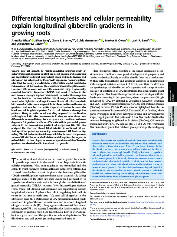 Differential biosynthesis and cellular permeability explain longitudinal gibberellin gradients in growing roots Thumbnail