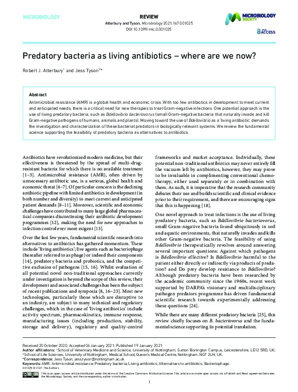 Predatory bacteria as living antibiotics – where are we now? Thumbnail
