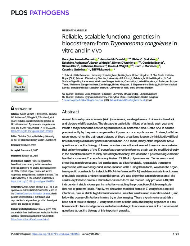 Reliable, scalable functional genetics in bloodstream-form Trypanosoma congolense in vitro and in vivo Thumbnail