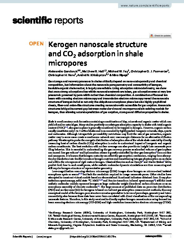 Kerogen nanoscale structure and CO2 adsorption in shale micropores Thumbnail
