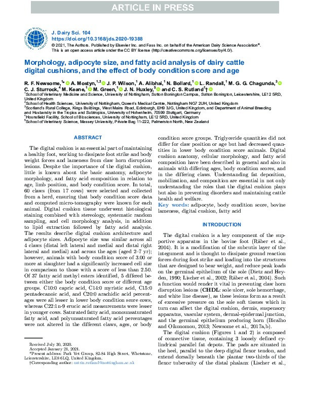 Morphology, adipocyte size, and fatty acid analysis of dairy cattle digital cushions, and the effect of body condition score and age Thumbnail