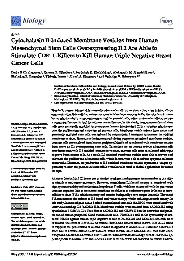 Cytochalasin B-Induced Membrane Vesicles from Human Mesenchymal Stem Cells Overexpressing IL2 Are Able to Stimulate CD8+ T-Killers to Kill Human Triple Negative Breast Cancer Cells Thumbnail
