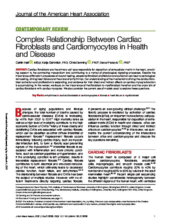 Complex Relationship Between Cardiac Fibroblasts and Cardiomyocytes in Health and Disease Thumbnail