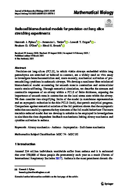 Reduced biomechanical models for precision-cut lung-slice stretching experiments Thumbnail