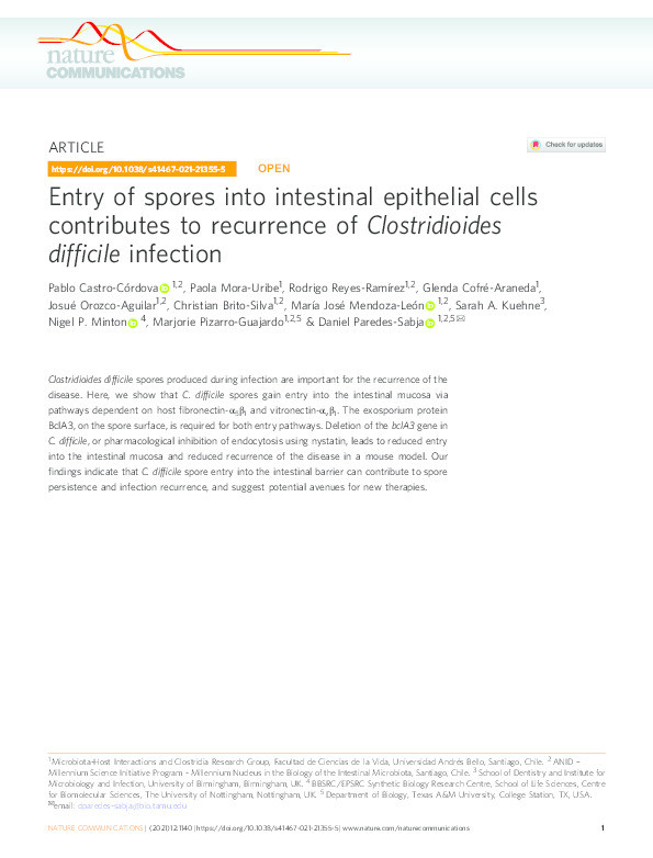 Entry of spores into intestinal epithelial cells contributes to recurrence of Clostridioides difficile infection Thumbnail