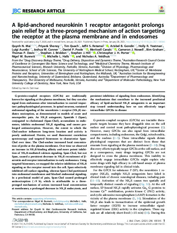 A lipid-anchored neurokinin 1 receptor antagonist prolongs pain relief by a three-pronged mechanism of action targeting the receptor at the plasma membrane and in endosomes Thumbnail