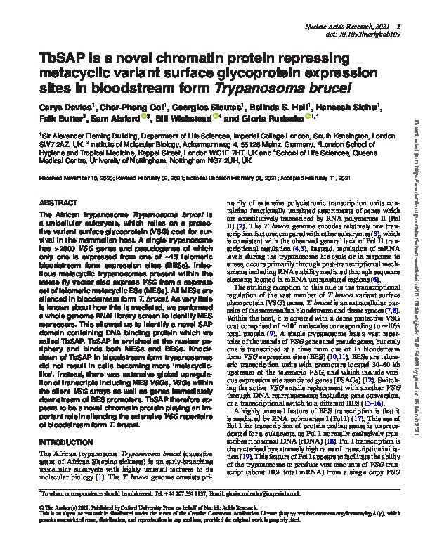 TbSAP is a novel chromatin protein repressing metacyclic variant surface glycoprotein expression sites in bloodstream form Trypanosoma brucei Thumbnail