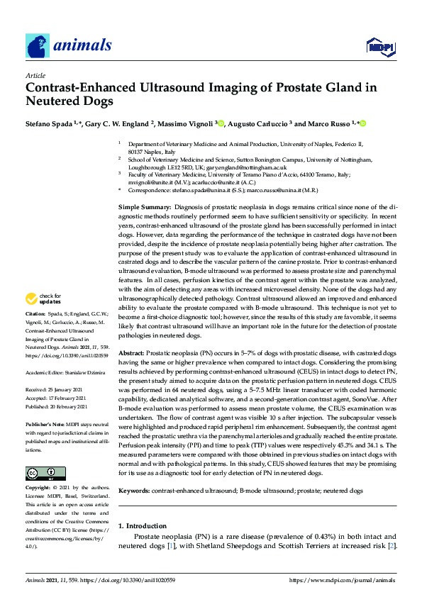 Contrast-Enhanced Ultrasound Imaging of Prostate Gland in Neutered Dogs Thumbnail