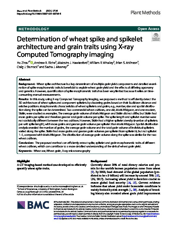 Determination of wheat spike and spikelet architecture and grain traits using X-ray Computed Tomography imaging Thumbnail