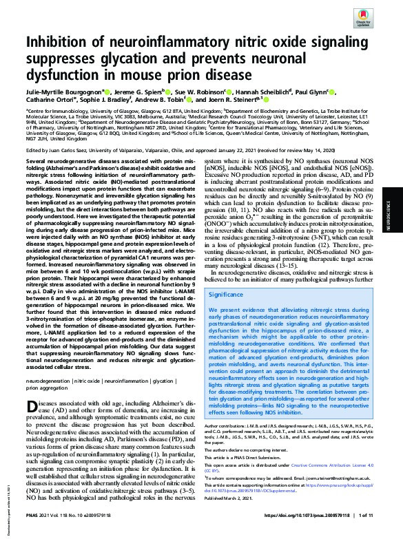 Inhibition of neuroinflammatory nitric oxide signaling suppresses glycation and prevents neuronal dysfunction in mouse prion disease Thumbnail