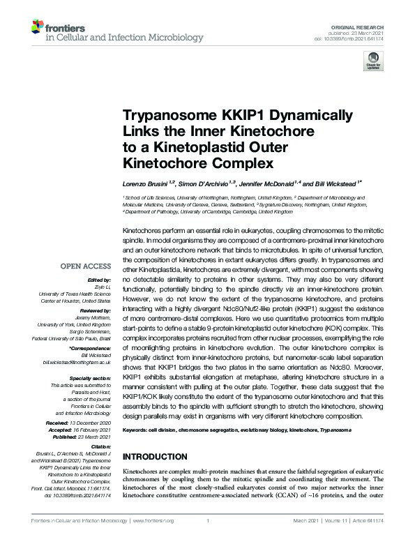 Trypanosome KKIP1 Dynamically Links the Inner Kinetochore to a Kinetoplastid Outer Kinetochore Complex Thumbnail