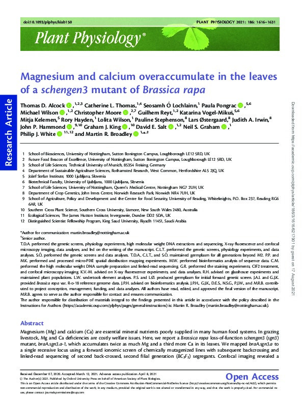 Magnesium and calcium overaccumulate in the leaves of a schengen3 mutant of Brassica rapa Thumbnail
