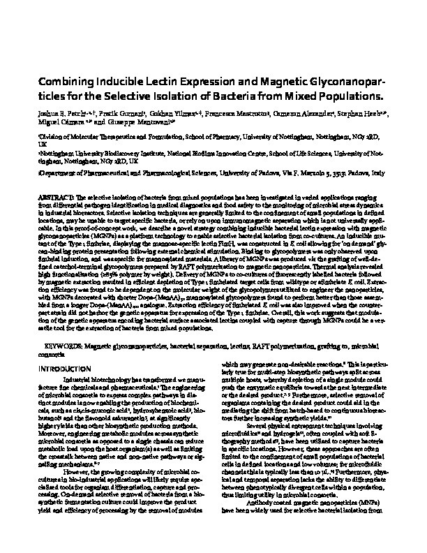 Combining Inducible Lectin Expression and Magnetic Glyconanoparticles for the Selective Isolation of Bacteria from Mixed Populations Thumbnail