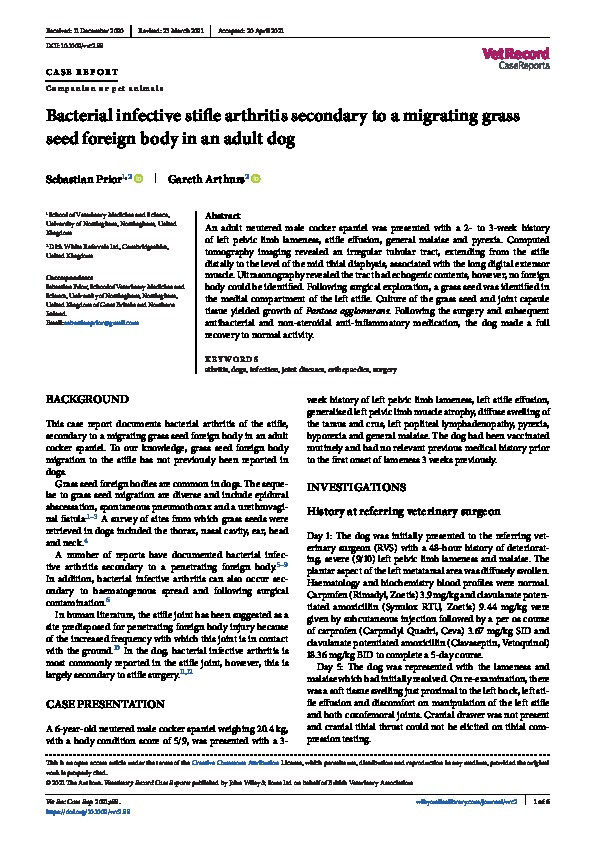 Bacterial Infective Stifle Arthritis Secondary to a Migrating Grass Seed Foreign Body in an Adult Dog Thumbnail