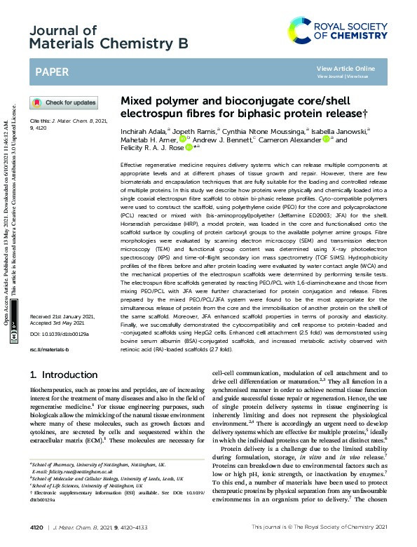 Mixed polymer and bioconjugate core/shell electrospun fibres for biphasic protein release Thumbnail