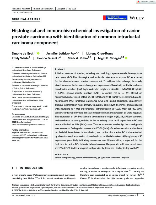 Histological and immunohistochemical investigation of canine prostate carcinoma with identification of common intraductal carcinoma component Thumbnail