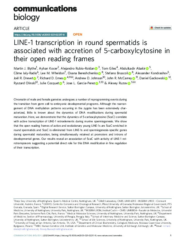 LINE-1 transcription in round spermatids is associated with accretion of 5-carboxylcytosine in their open reading frames Thumbnail