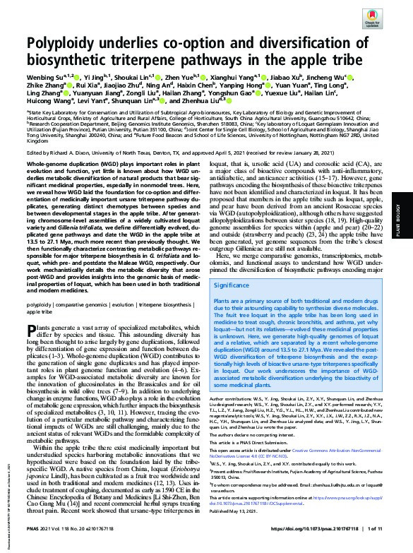 Polyploidy underlies co-option and diversification of biosynthetic triterpene pathways in the apple tribe Thumbnail