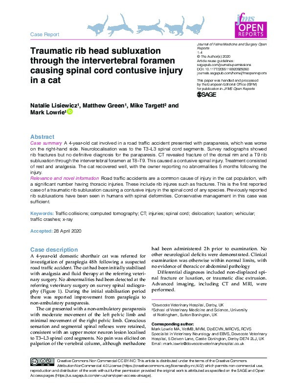 Traumatic rib head subluxation through the intervertebral foramen causing spinal cord contusive injury in a cat Thumbnail