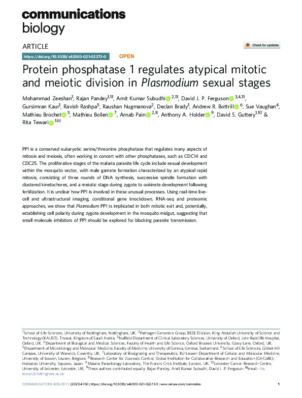 Protein phosphatase 1 regulates atypical mitotic and meiotic division in Plasmodium sexual stages Thumbnail