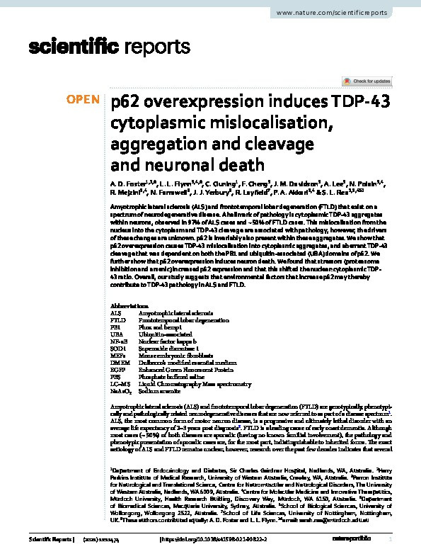 p62 overexpression induces TDP-43 cytoplasmic mislocalisation, aggregation and cleavage and neuronal death Thumbnail