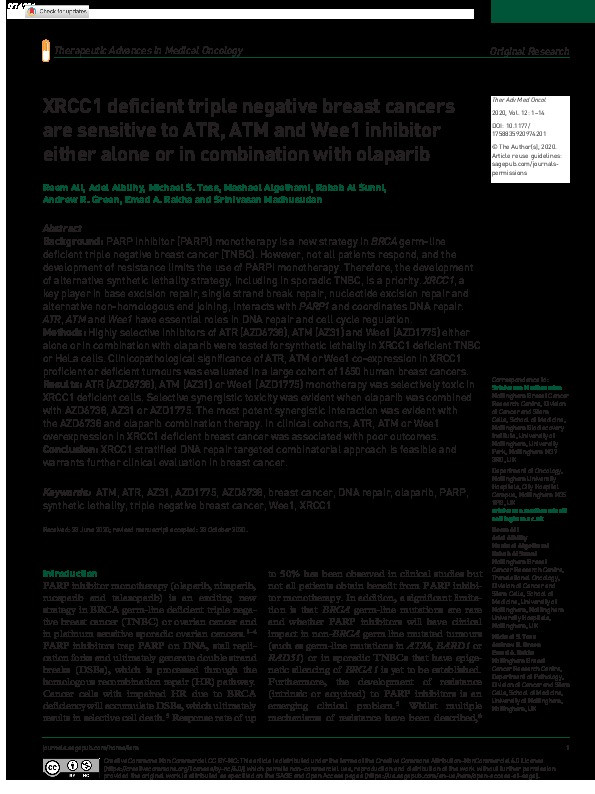 XRCC1 deficient triple negative breast cancers are sensitive to ATR, ATM and Wee1 inhibitor either alone or in combination with olaparib Thumbnail