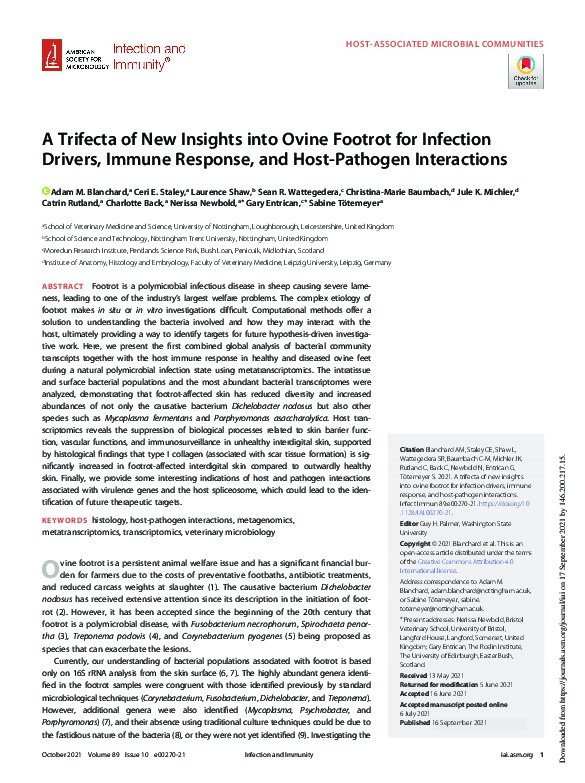 A Trifecta of New Insights into Ovine Footrot for Infection Drivers, Immune Response, and Host-Pathogen Interactions Thumbnail