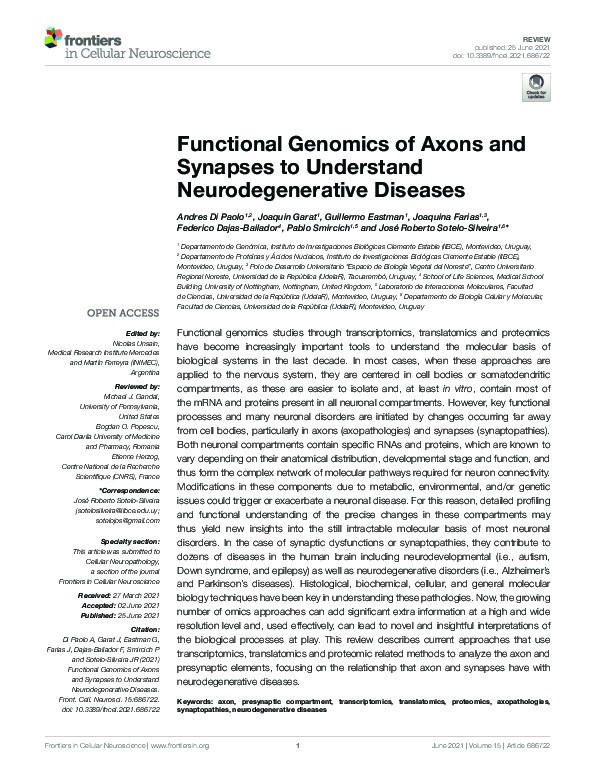 Functional Genomics of Axons and Synapses to Understand Neurodegenerative Diseases Thumbnail