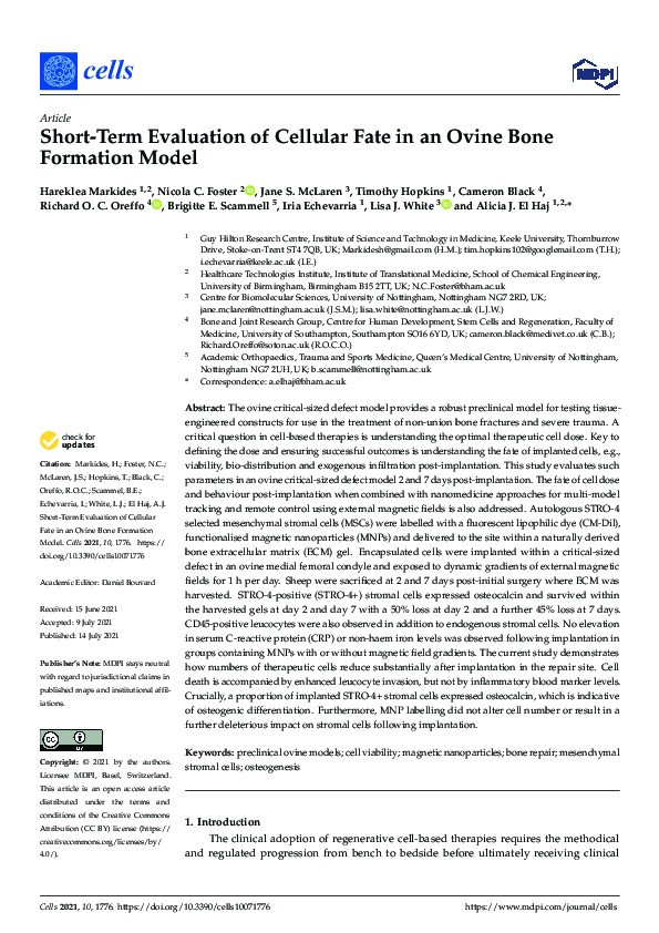 Short-Term Evaluation of Cellular Fate in an Ovine Bone Formation Model Thumbnail