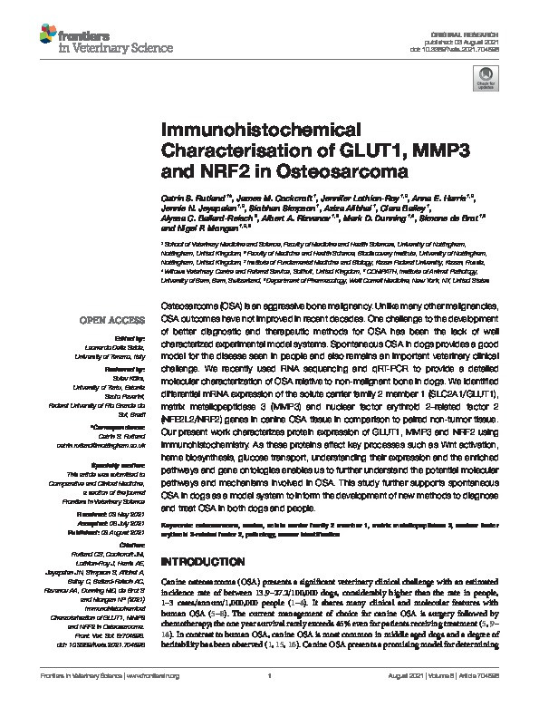 Immunohistochemical Characterisation of GLUT1, MMP3 and NRF2 in Osteosarcoma Thumbnail